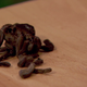 Dried tarantulas. (Screenshot: Bravo)